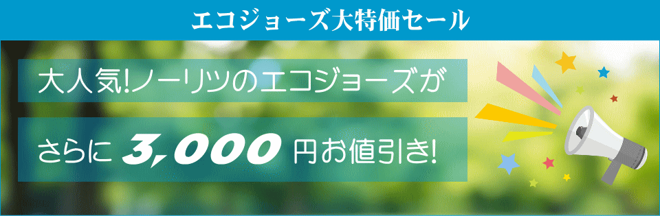 エコジョーズ大特価セール